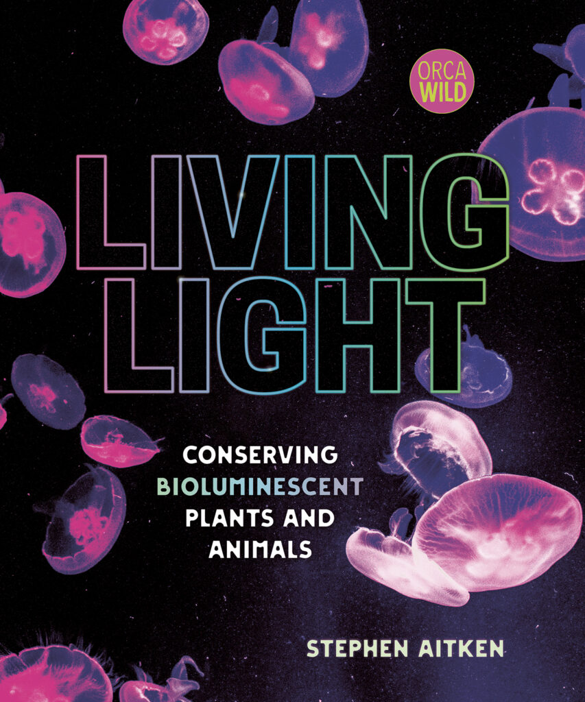 Living Light by Stephen Aitken